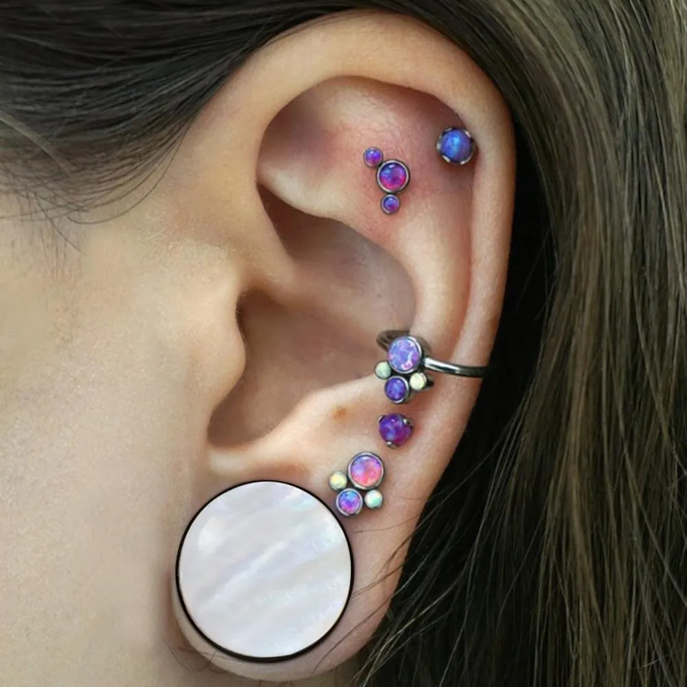 DOEARKO 2 Pairs Conch Shell Ear Gauges Tunnels and Plugs 316L Stainless Steel Hypoallergenic Earrings Ears Expander Body Jewelry
