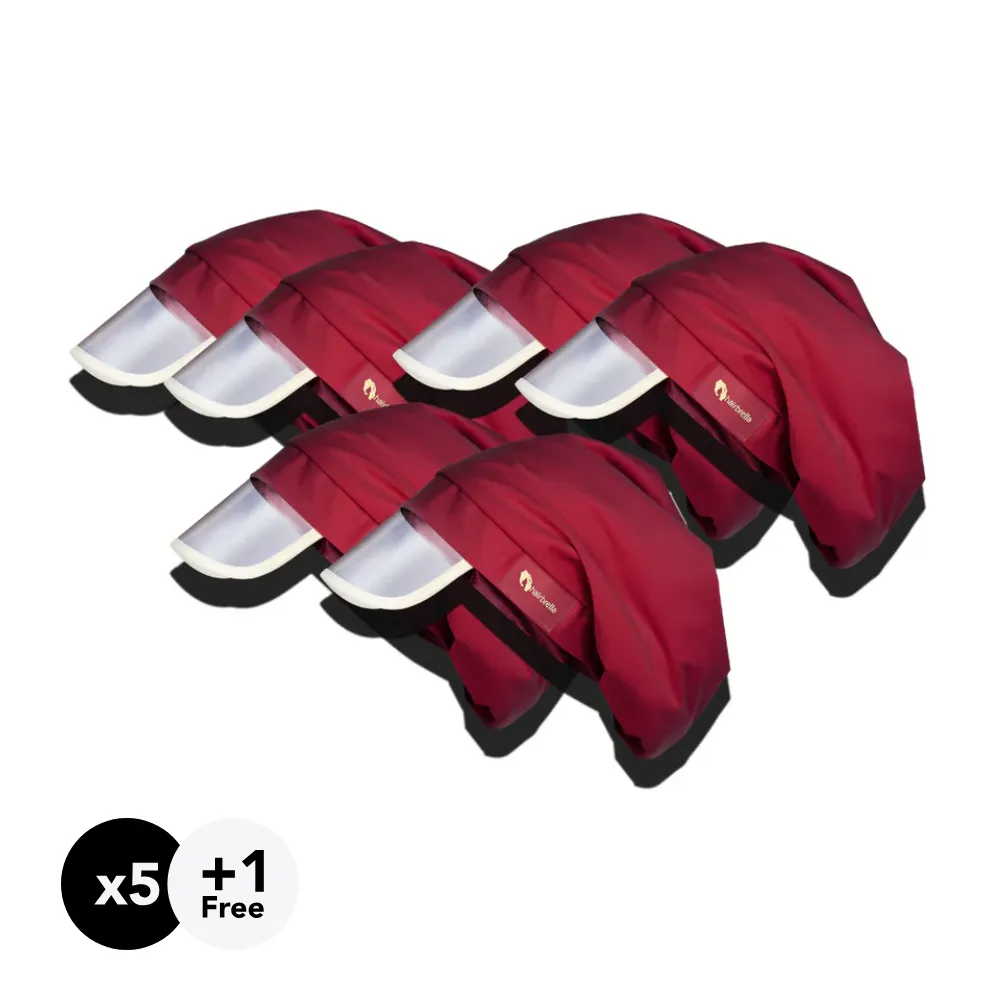 Hairbrella Classic Gifting Bundle (Buy 5, Get 1 Free)
